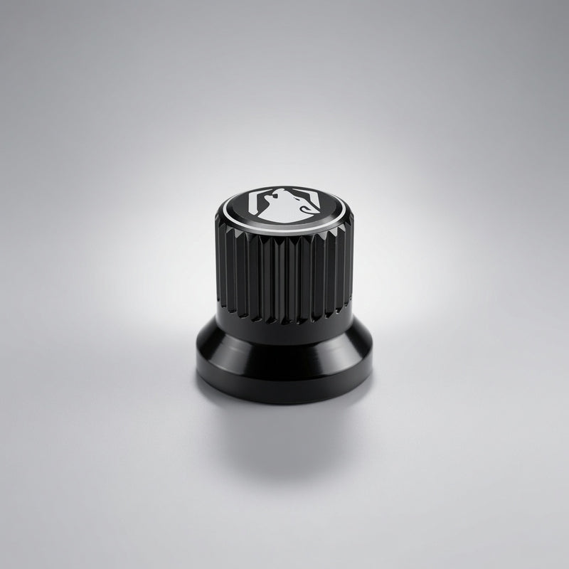 RCV Replacement Shraeder Cap